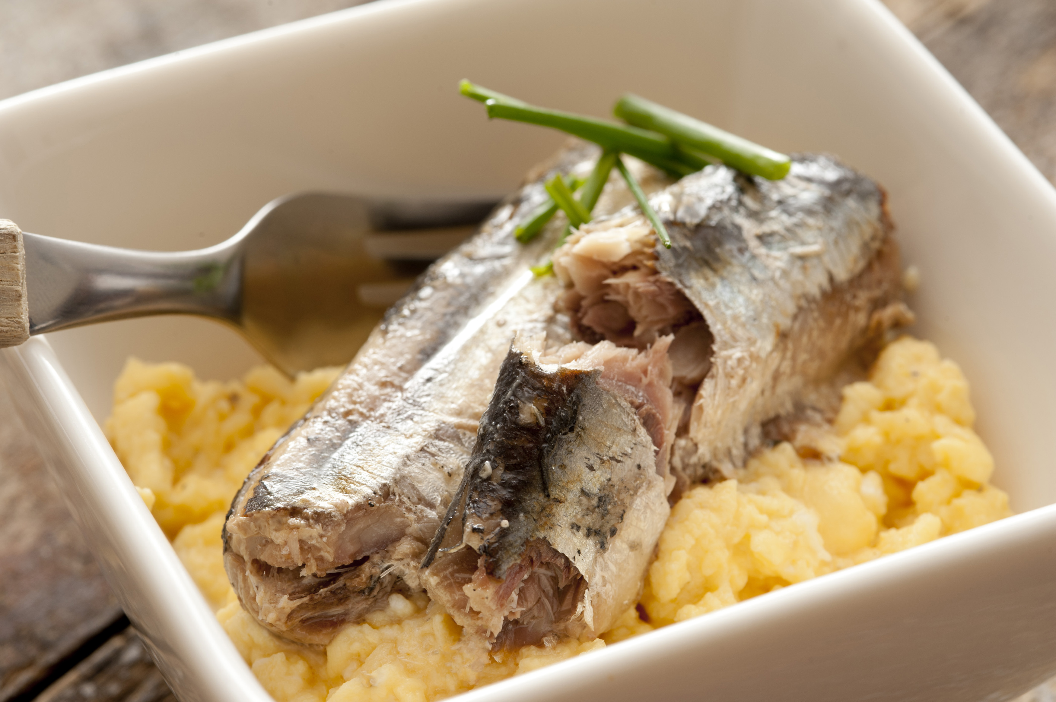 sardine breakfast - Free Stock Image