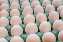 Cardboard carton of fresh eggs