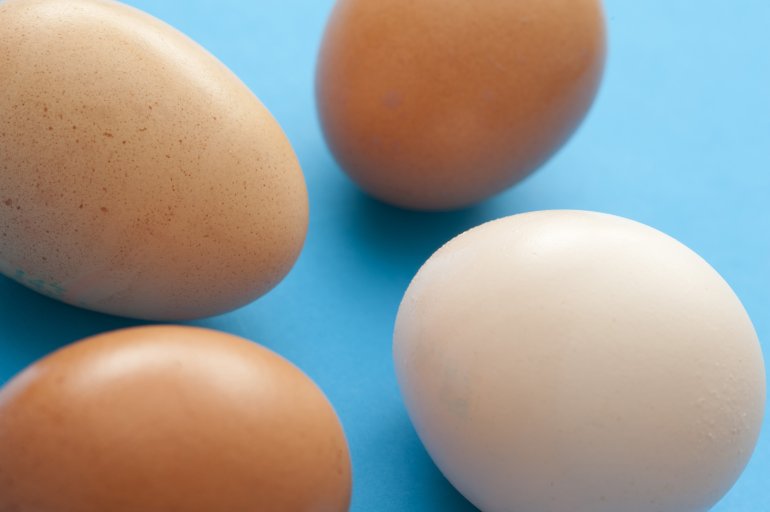 Four healthy raw brown and white eggs on a blue background for use as an ingredient in cooking and baking or for a delicious breakfast