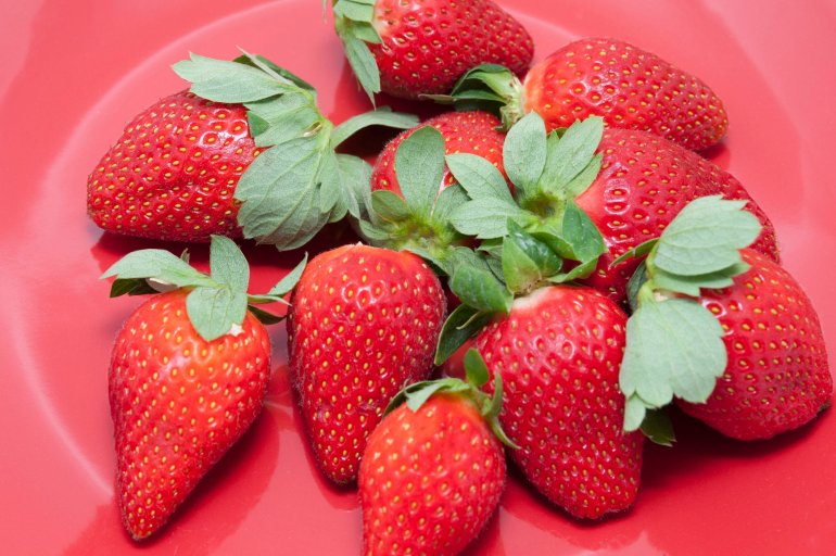 High angle close up of a plate of whole juicy ripe red strawberries with attached green stems