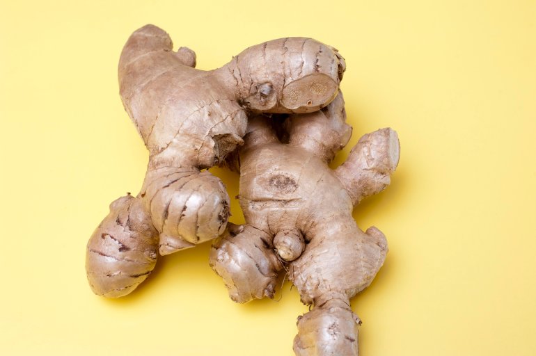Root ginger, or whole rhizomes of fresh ginger, a pungent spice and flavouring in cooking with medicinal properties