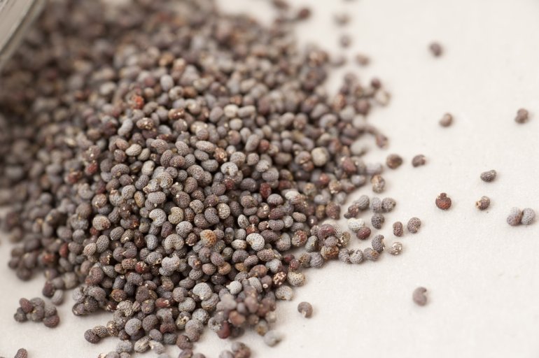 A close up of a pile of poppy seeds on a plain background.