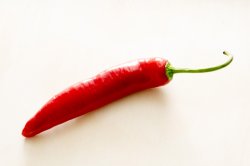 Close up of red chilli on plain background