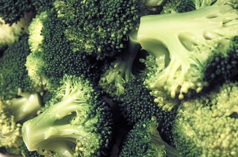 Close up of fresh green broccoli florets cut into small portions ready for cooking as an accompaniment to a healthy meal