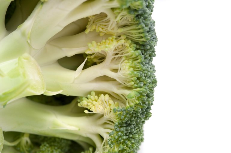 Underside of a fresh head of broccoli showing the edible stalks and green florets isolated on white with copyspace