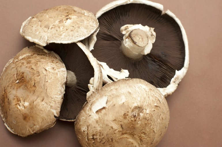 Fresh large cup or portobello mushrooms on a brown background for use in cooking and salads