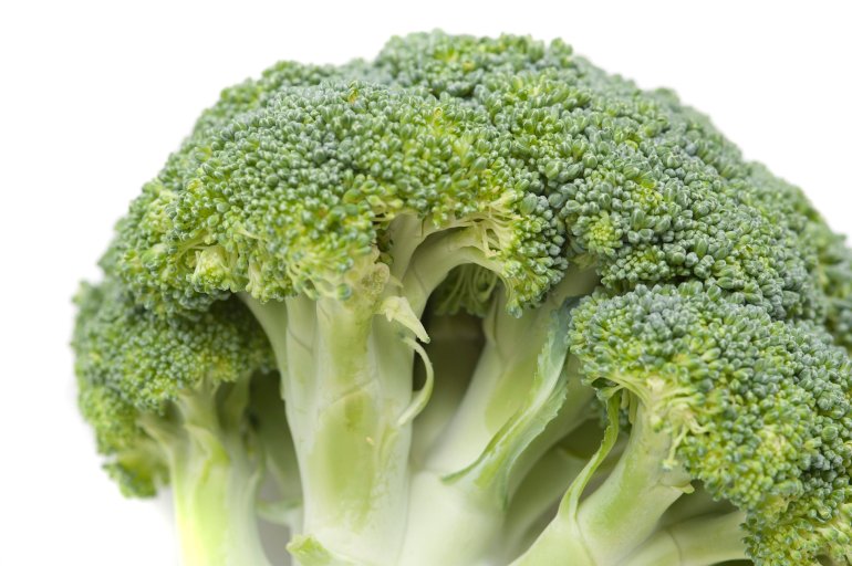 Head of fresh uncooked green broccoli showing the mass of florets and thick stalk isolated on white