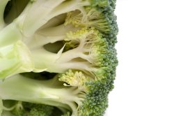 Underside of a fresh head of broccoli