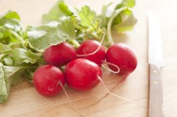Bunch of fresh crispy red radishes with leaves