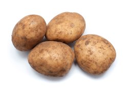 Fresh uncleaned potatoes