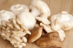 Selection of fresh whole mushrooms