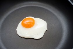 Single fried egg in a pan