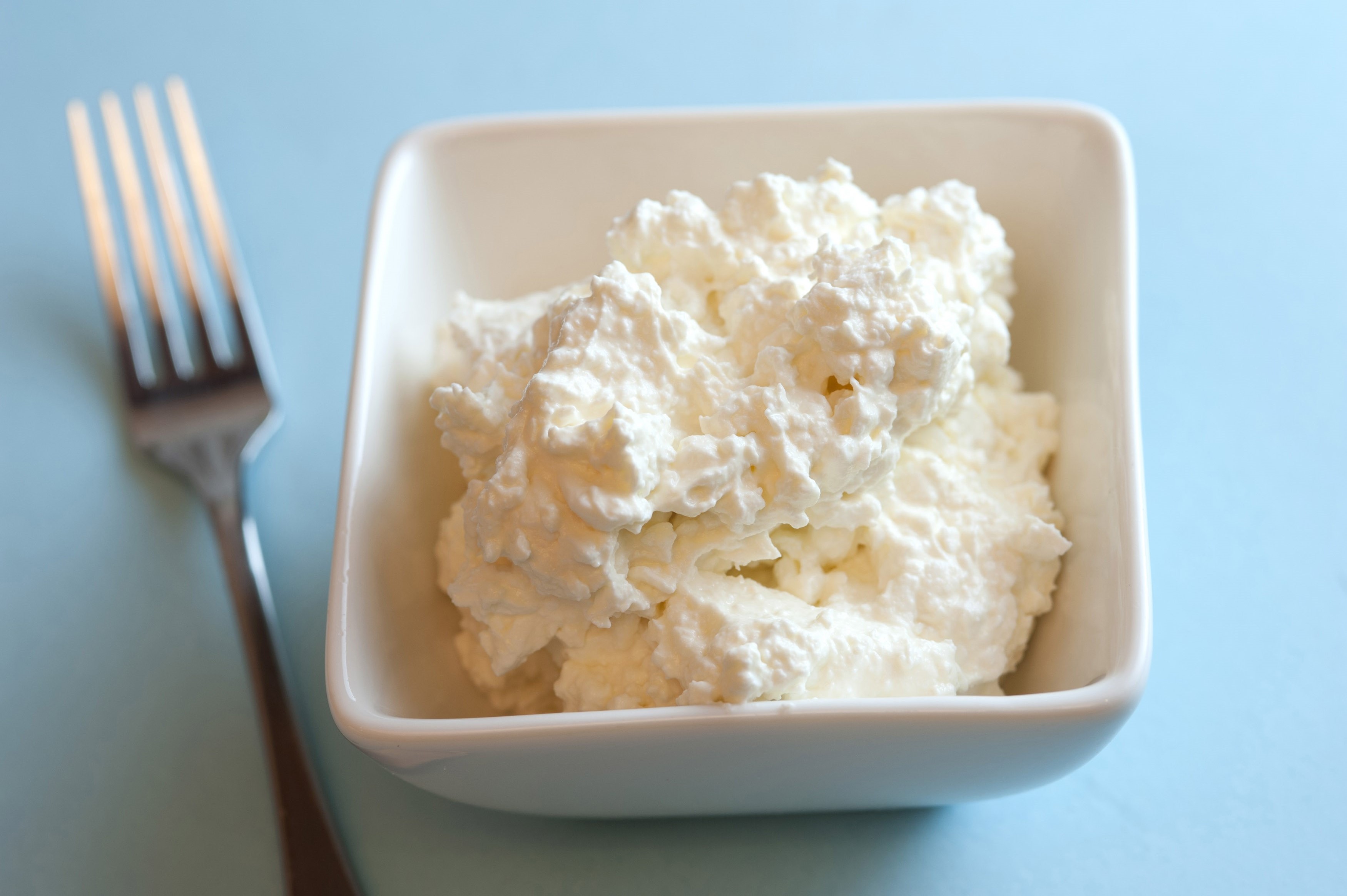 Dish Of Cottage Cheese Free Stock Image