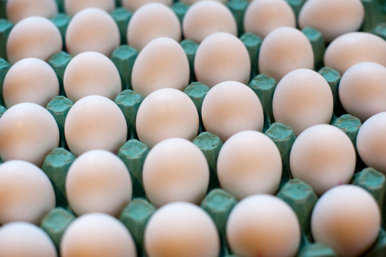 Cardboard carton of fresh whole white farm eggs, a nutirtious food and cooking ingredient , close up high angle view