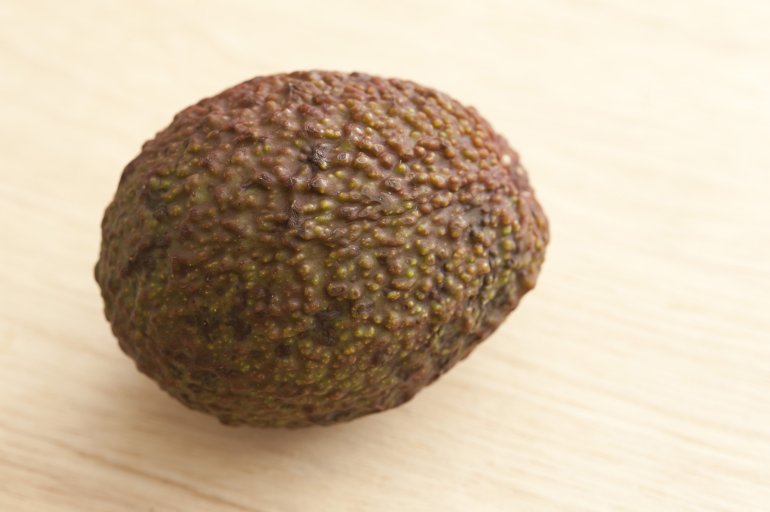 Close Up Still Life of Single Avocado with Textured Skin on Wooden Background with Copy Space