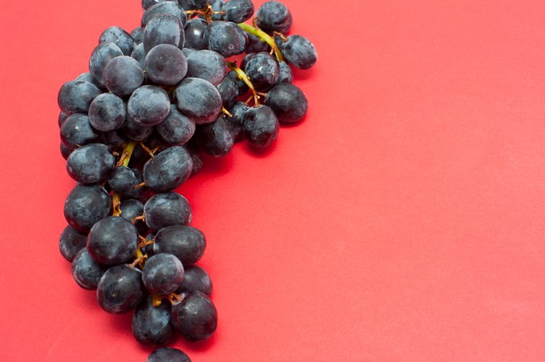 Closeup of a bunch of fresh black grapes lying on a red background with copyspace