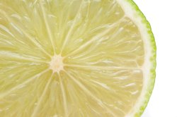 Close up texture of fresh sliced lime