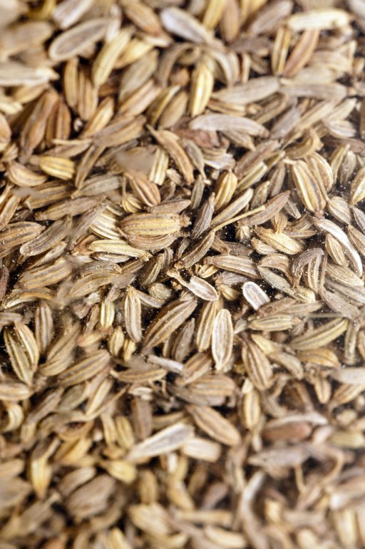 Full frame background texture of dried aromatic caraway seeds for use as seasoning in cooking