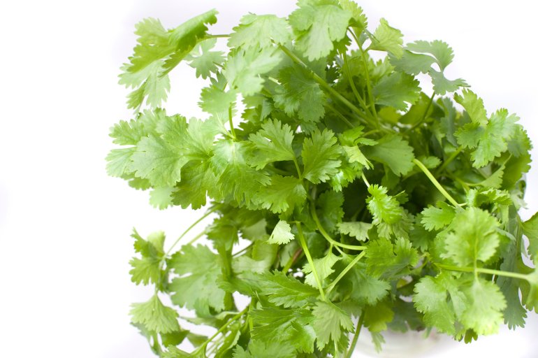 Pile of fresh coriander leaves, or Coriandrum sativum, used in cooking as a seasoning and garnish on a white background