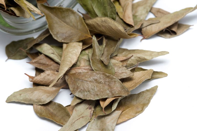 Dried bay leaves from the laurel tree used as an aromatic herb and seasoning in cooking