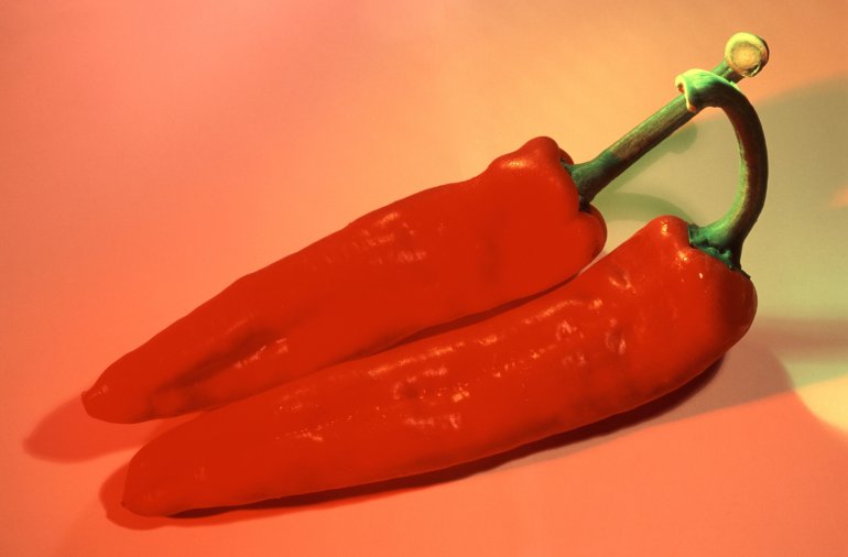 Two whole fresh red hot chili peppers, a pungent spice and flavouring used in cooking and salads