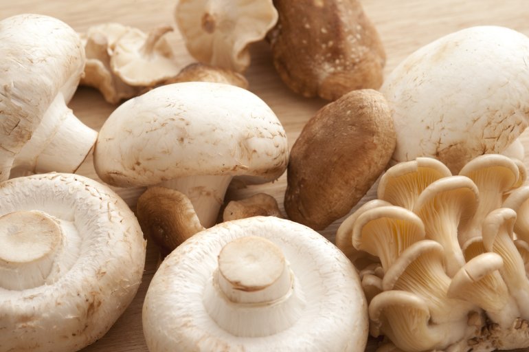 Close-up of different white mushrooms on wooden board