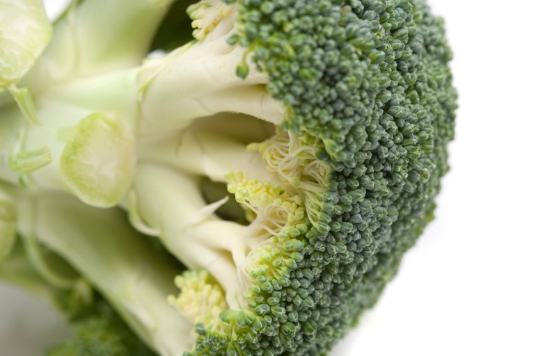 Fresh head of broccoli viewed from the underside showing the florets and edible stalk isolated on white