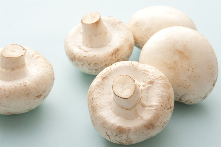 Close-up of five white mushrooms lying on table