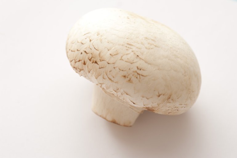Single fresh whole agaricus bisporus mushroom, or white button mushroom, the most commonly cultivated fungi for use in cooking, over white