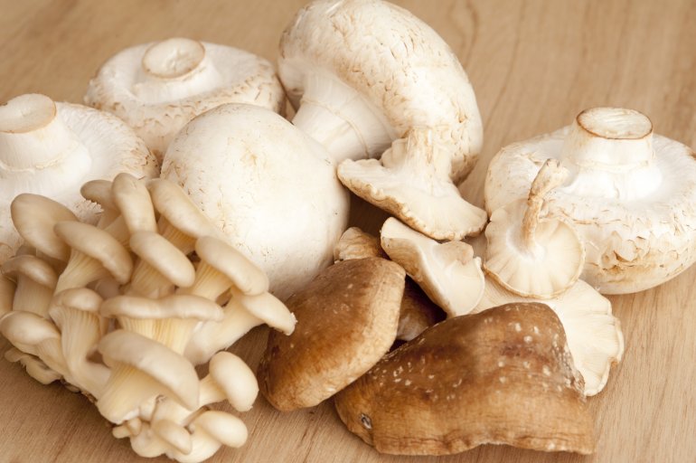 Selection of fresh whole mushrooms for use in cooking with button mushrooms with Japanese shitake and shimeji mushrooms on a wooden counter