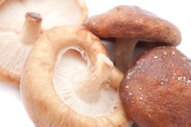 Fresh shitake or shiitake mushrooms showing the cap and gills used in vegetarian and gourmet cuisine as a flavouring and salad ingredient