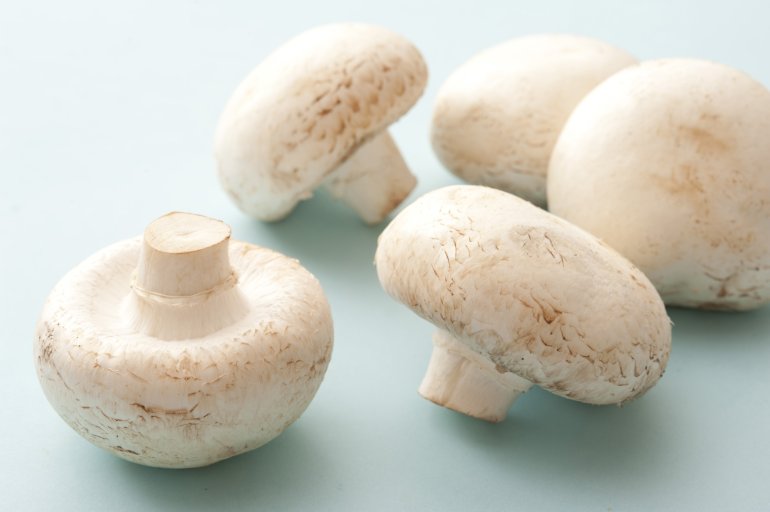 Fresh raw white button mushrooms, or agaricus bisporus, a commonly cultivated culinary mushroom used extensively in savoy and vegetarian cooking