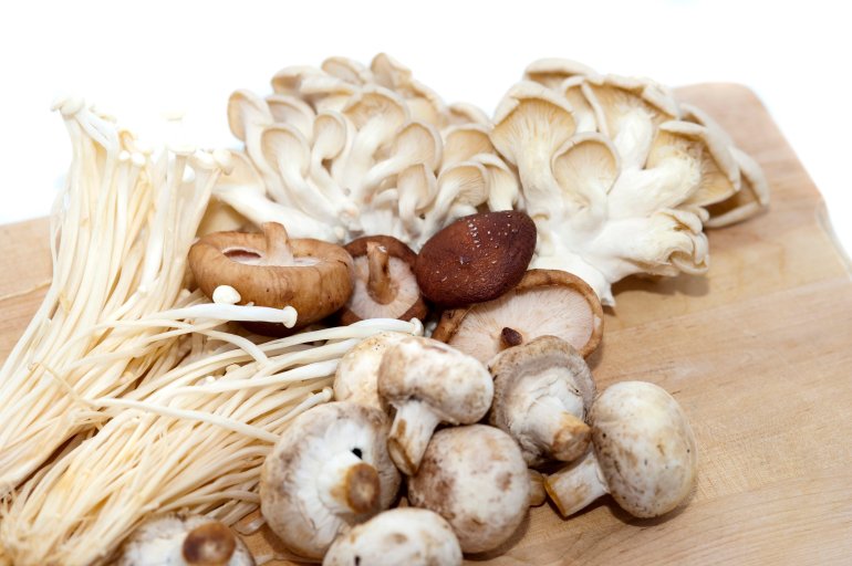 Selection of fresh mushrooms or edible fungi on a wooden chopping board including cultivated agarics and white oyster mushrooms