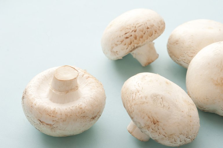 Close-up of five white mushrooms on blue table