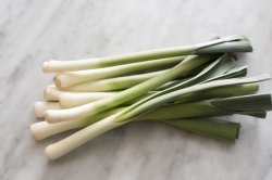 Bunch of fresh leeks in close-up