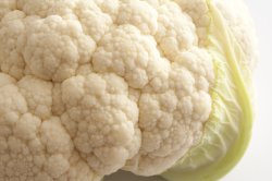 Head of fresh white cauliflower