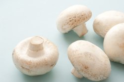 Five white mushrooms on blue table